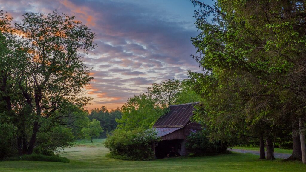 red house surrounded by trees during dawn