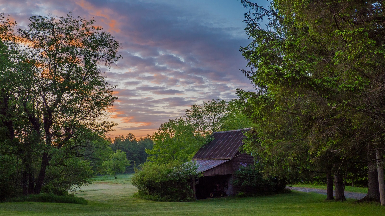 red house surrounded by trees during dawn