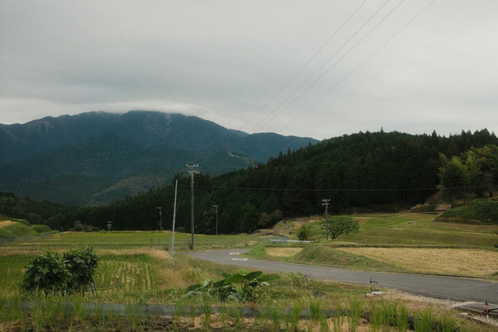 Rural landscape with mountains and fields