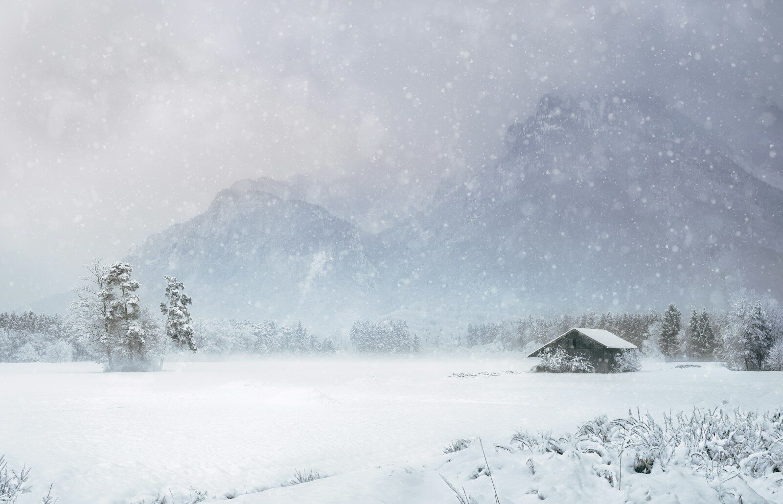 house covered with snow near mountain